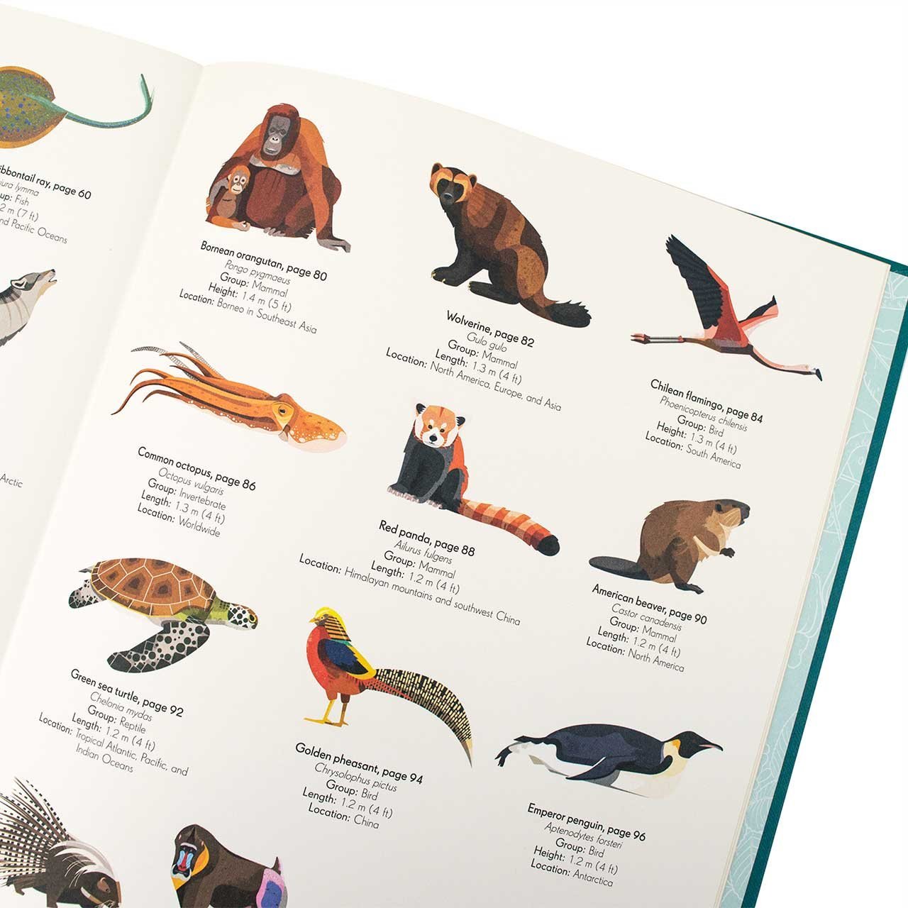 An anthology of intriguing animals book