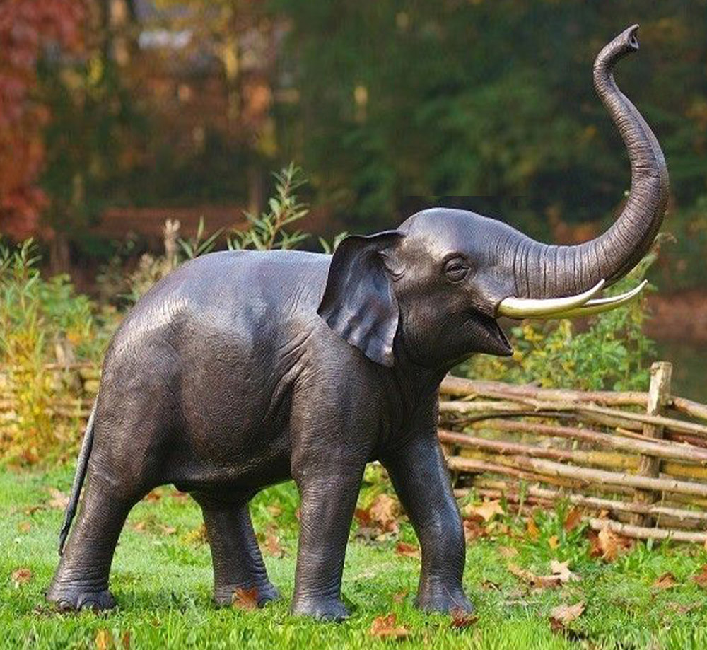 An elephant in the garden book trailer