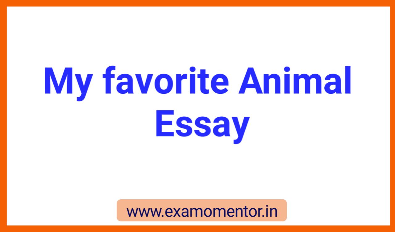 A day in the life of an animal essay