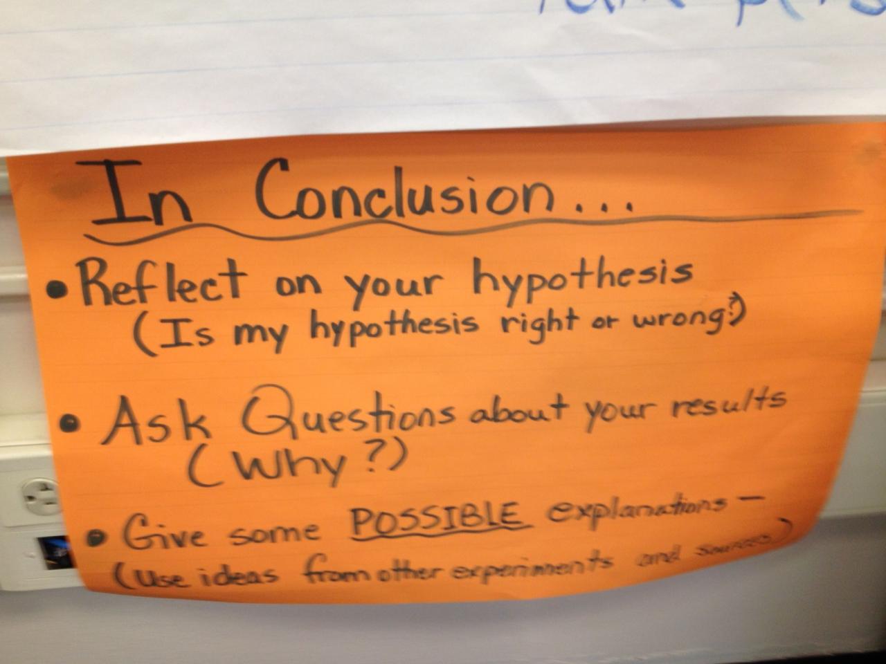 How to write a conclusion for an essay 5th grade