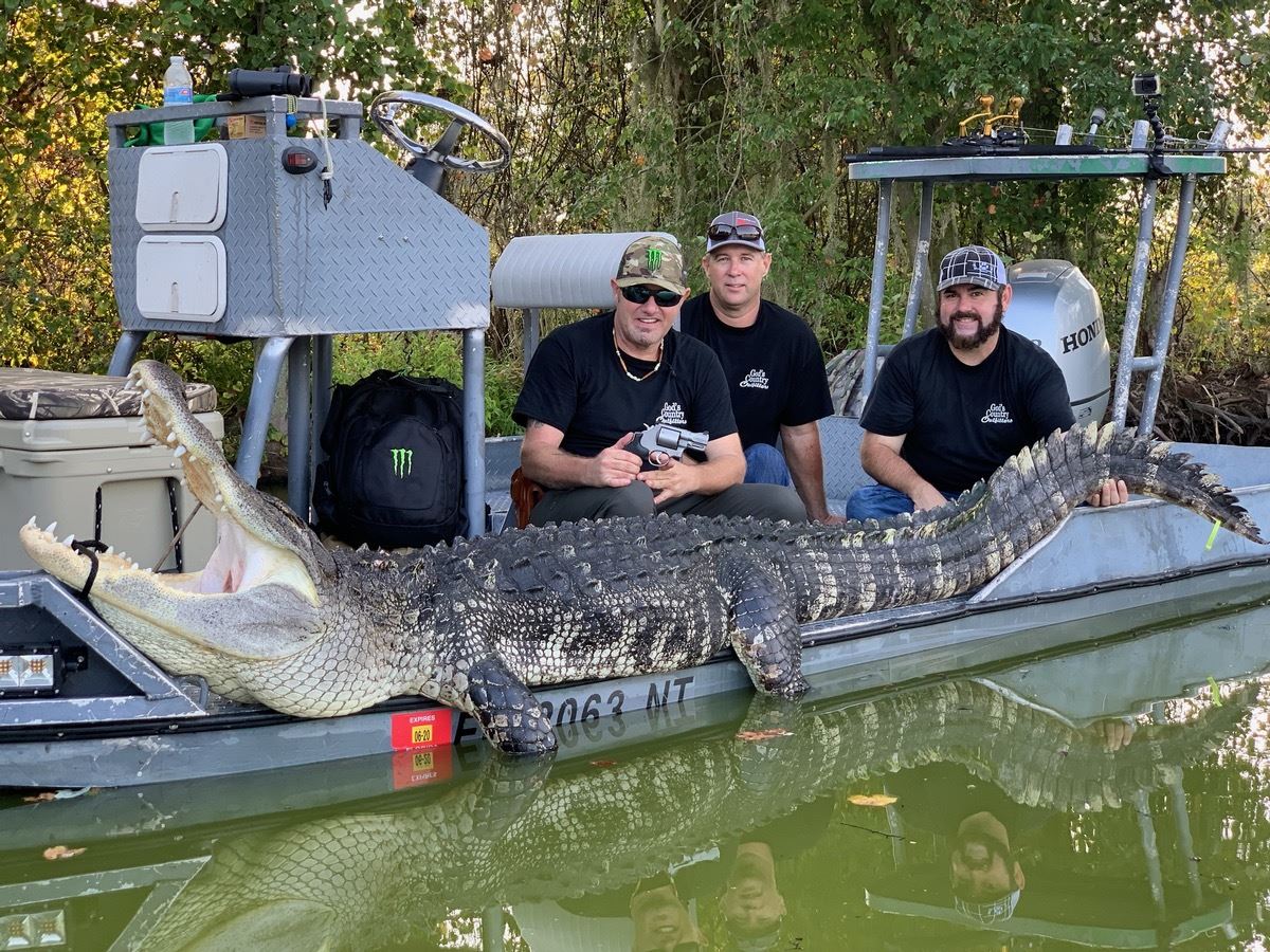 Book an alligator hunt orlando