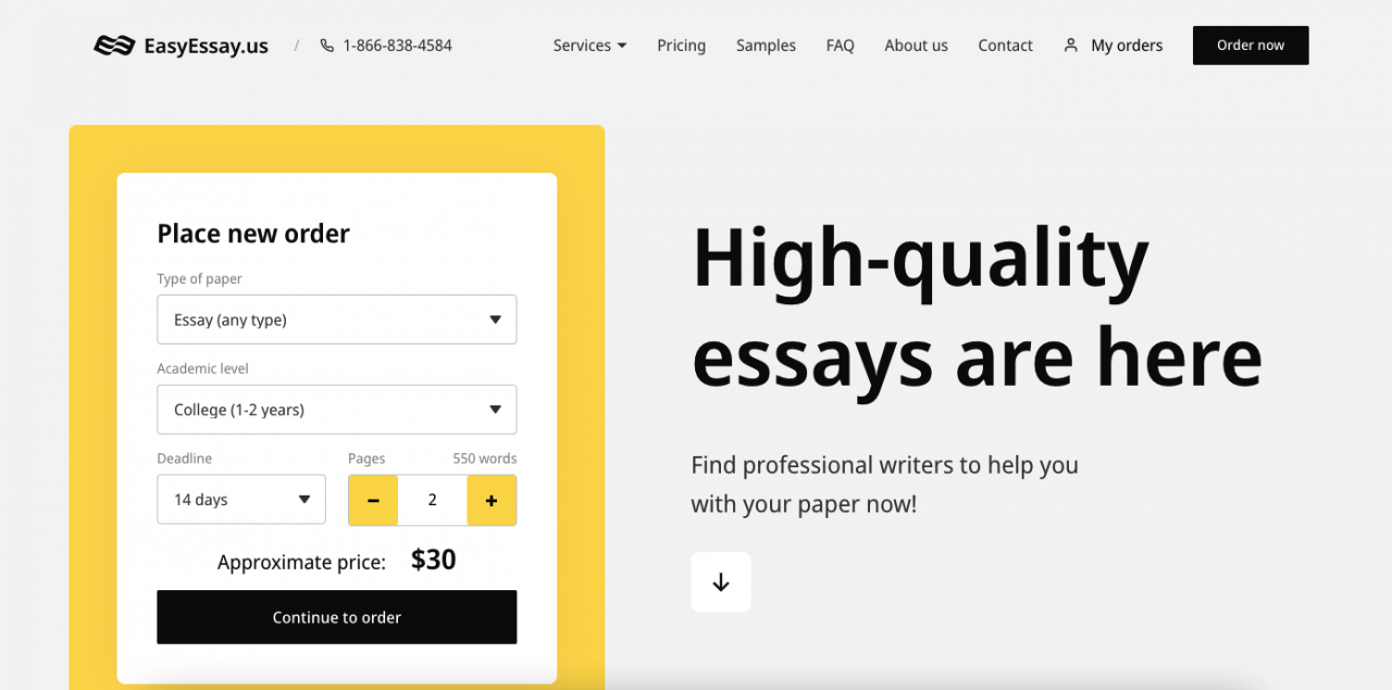 A website that writes an essay for you