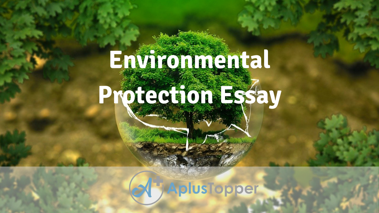 An essay on environment protection