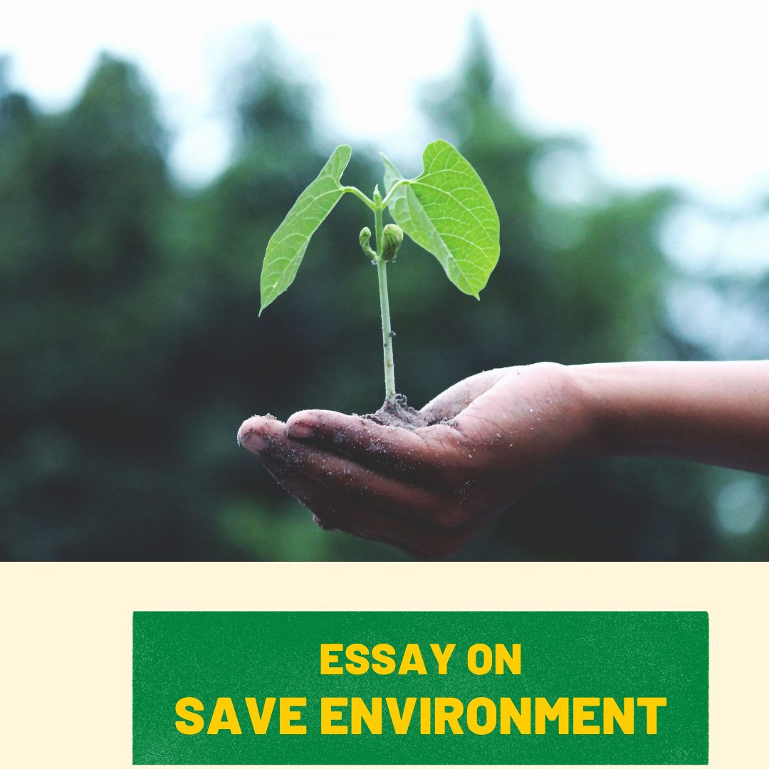 An essay on how to protect the environment