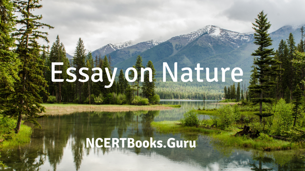 An essay about nature