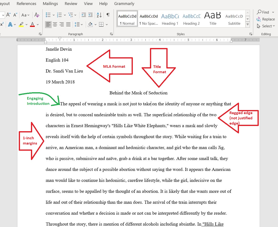 An example of a literary analysis essay