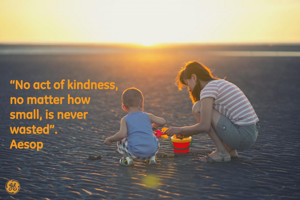 An act of kindness is never wasted essay