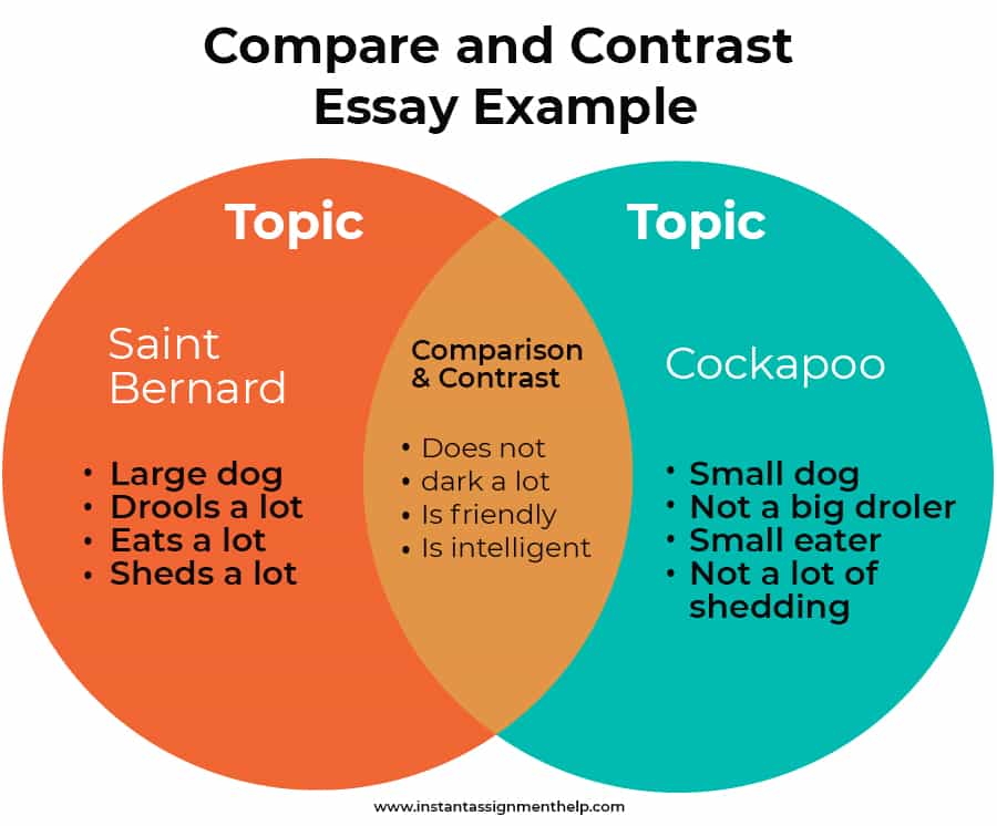 An example of compare and contrast essay
