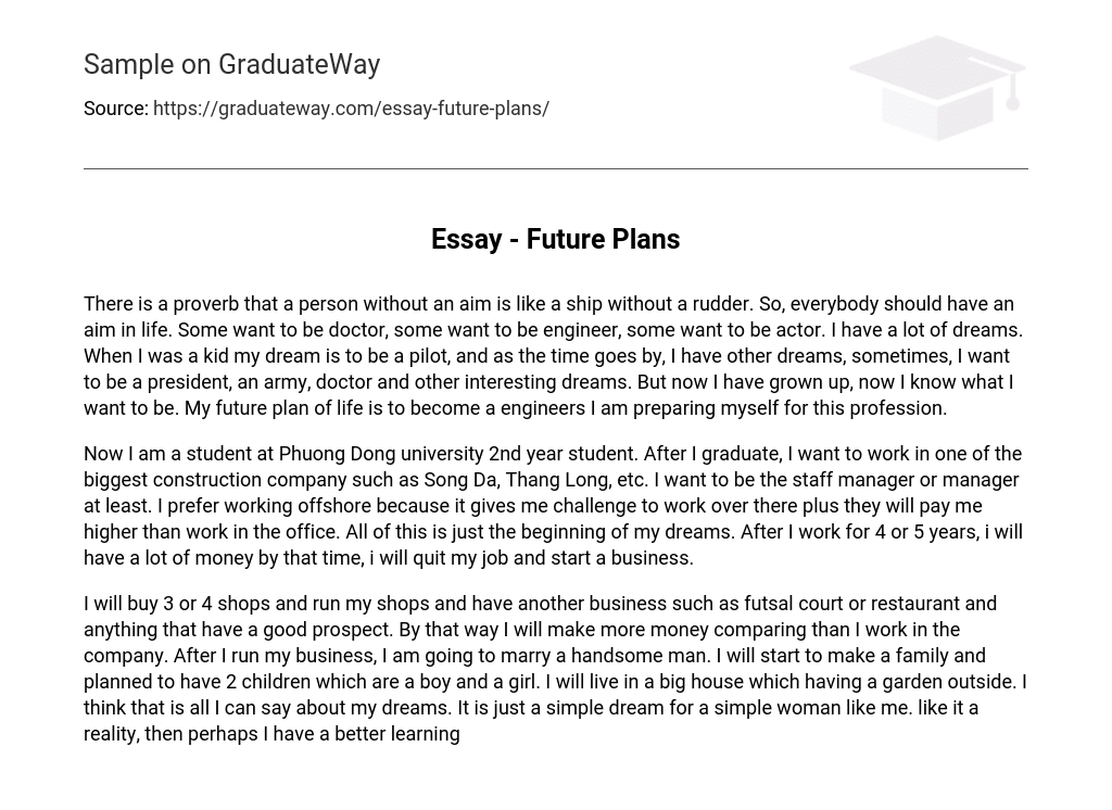 An essay about the future