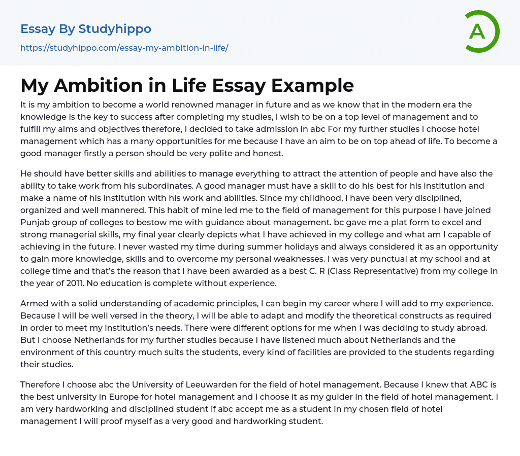 An essay on my ambition in life
