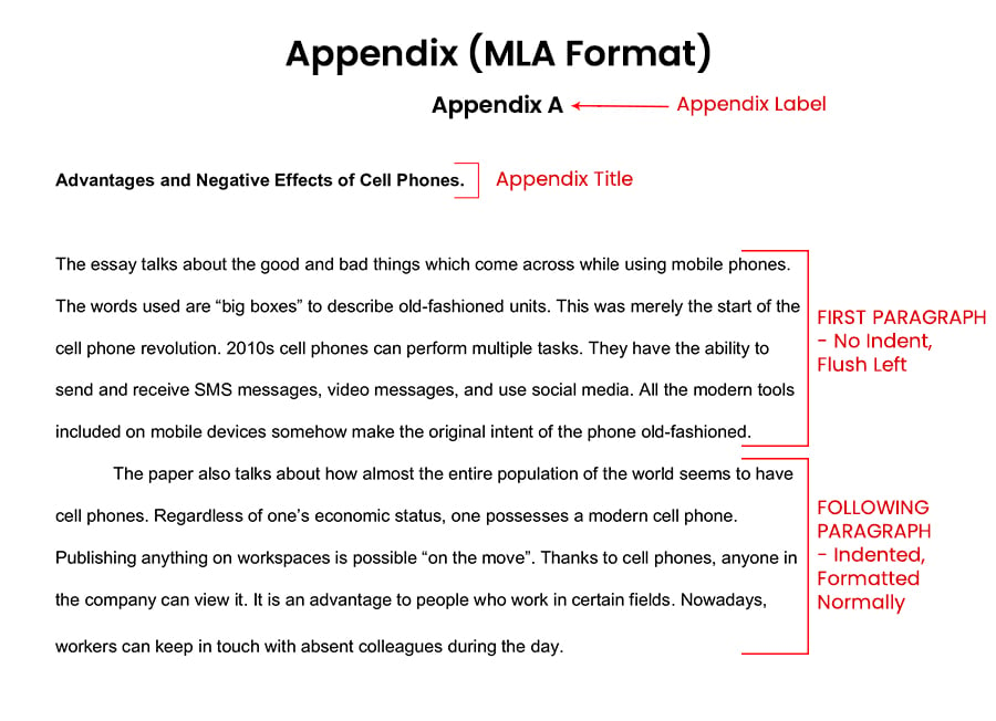 How do you write an appendix in an essay