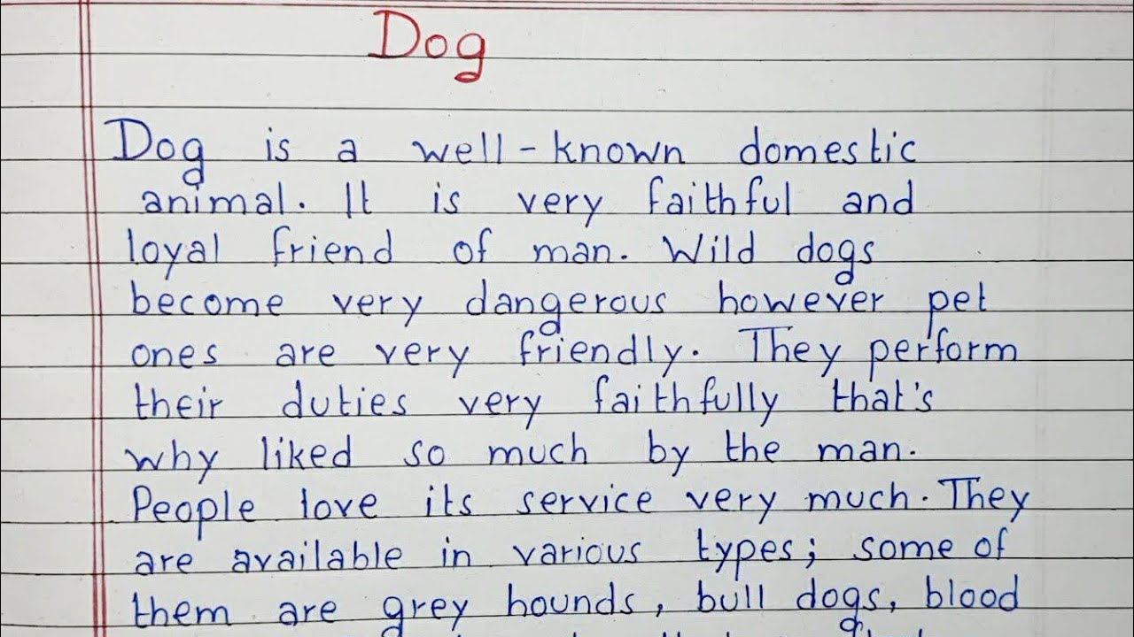 An essay about a dog