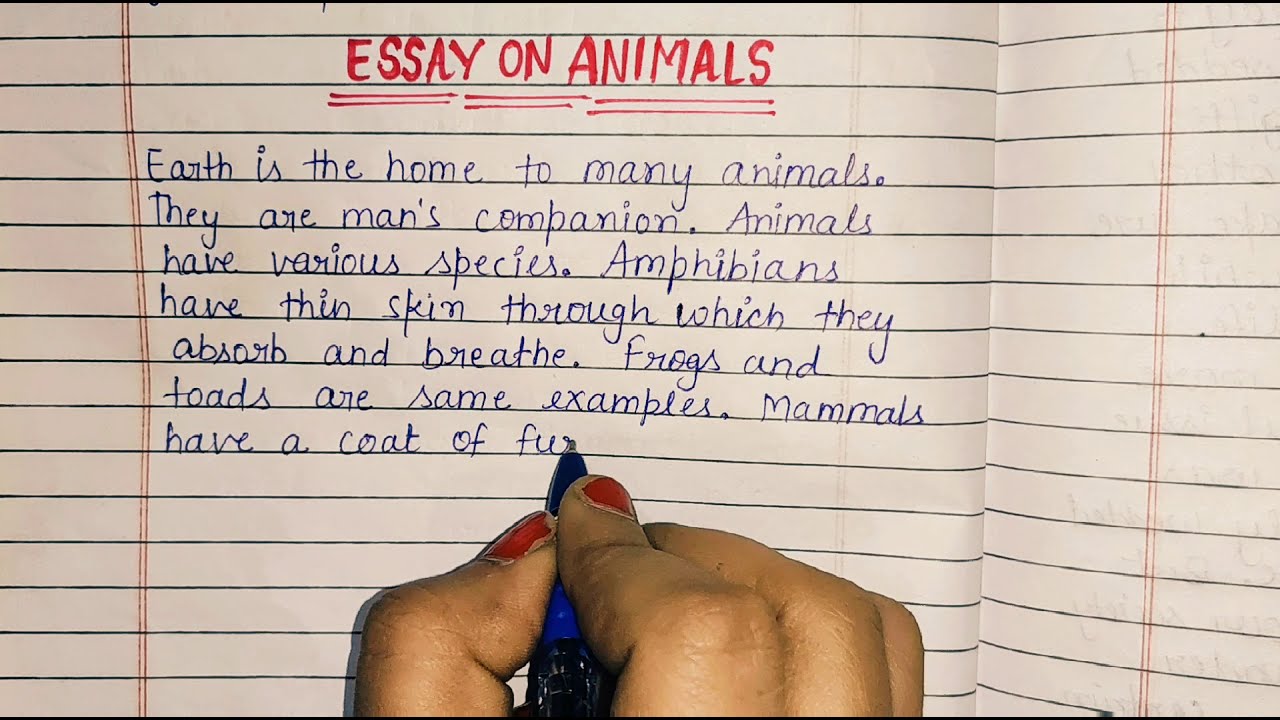 An essay on animals