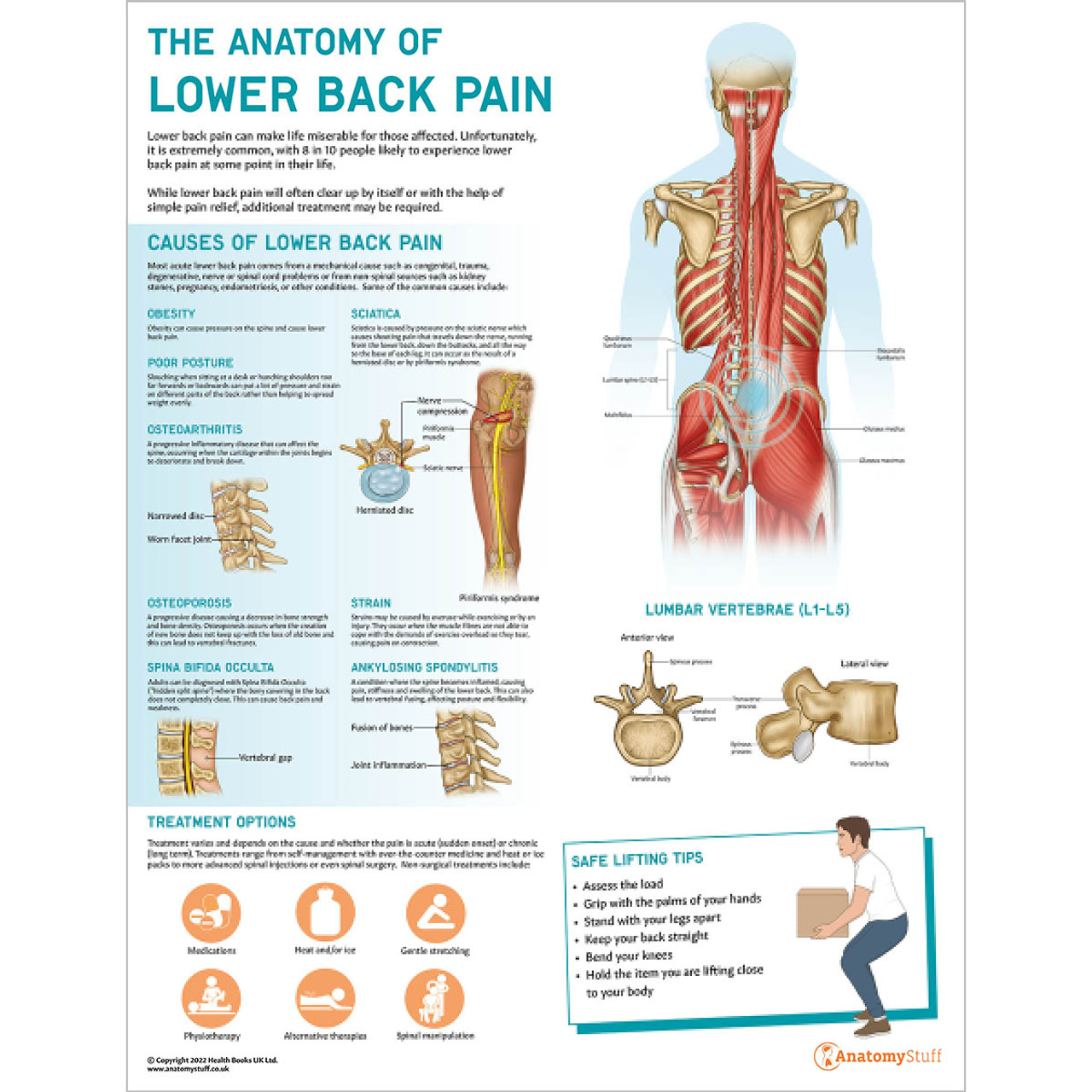 An anatomy of pain book