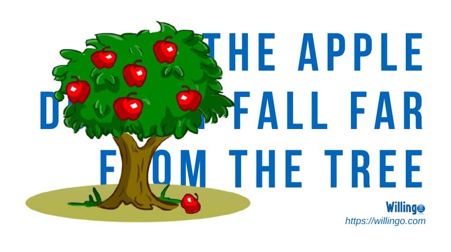 An apple doesn't fall far from the tree essay
